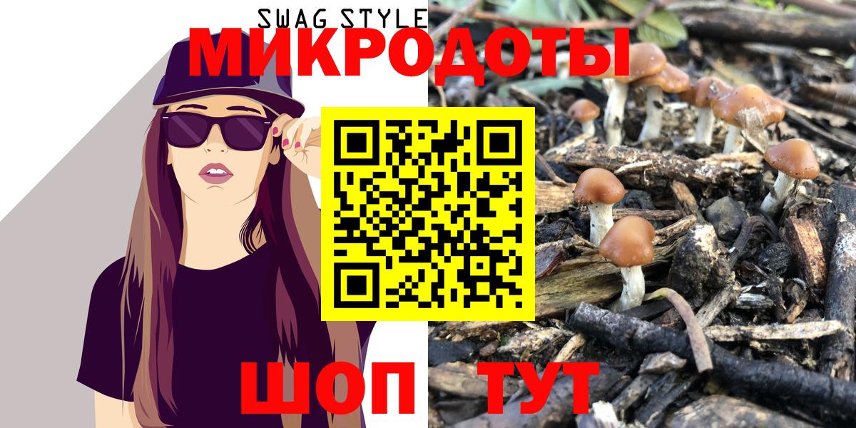 Галлюциногенные грибы Psilocybe  Вход с VPN  Новосибирск 