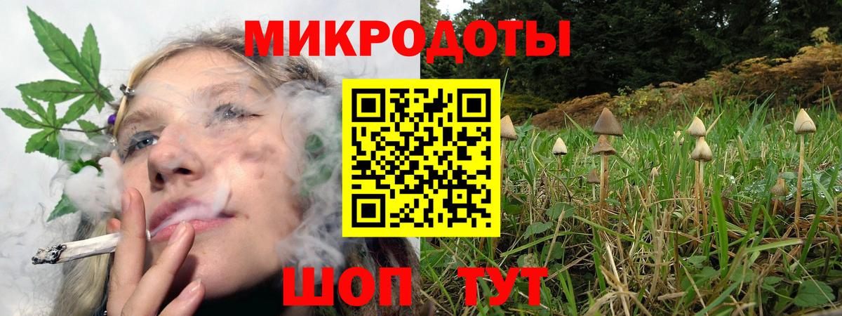 Галлюциногенные грибы мухоморы Новосибирск